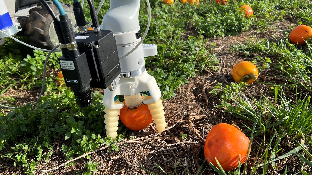 ainia robot brazo citricos